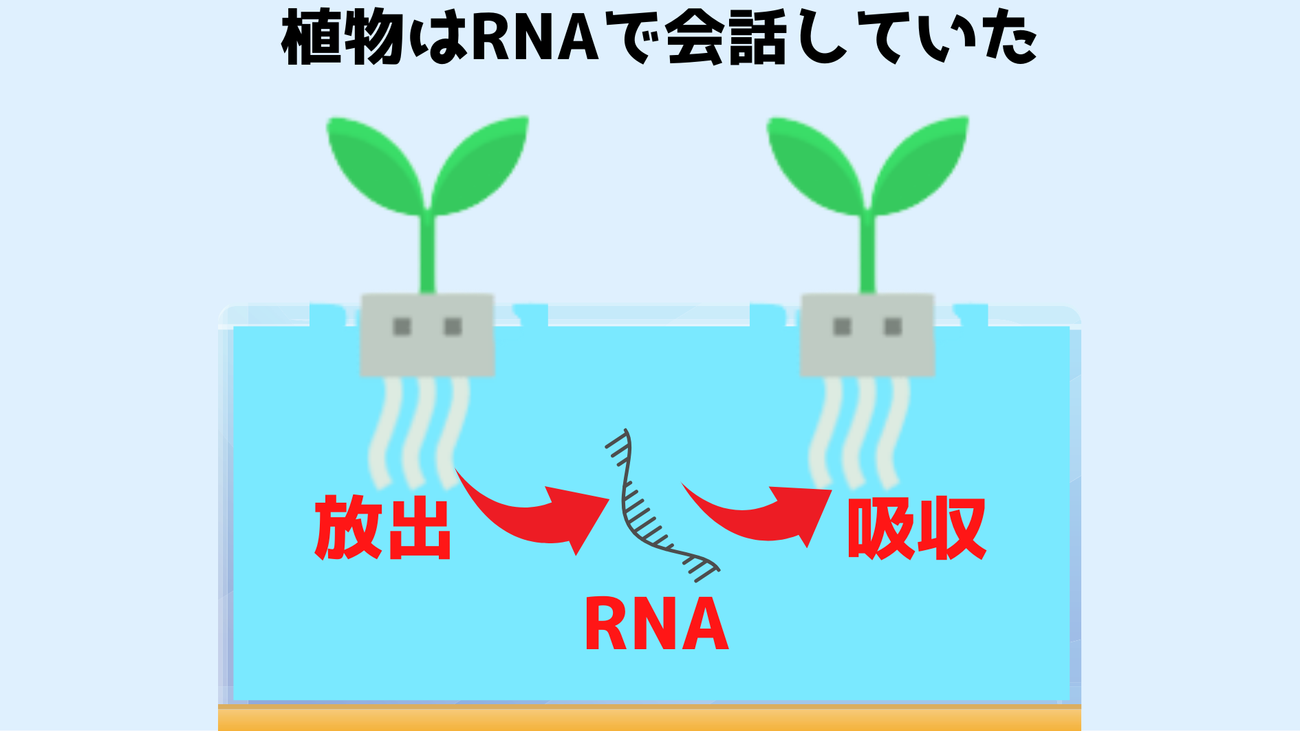 植物はRNAを「手紙」にして隣人と会話可能と判明！