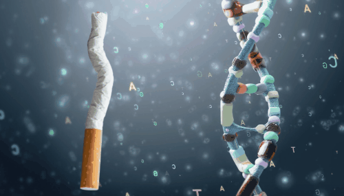 喫煙者になりやすい遺伝子を元に新型コロナウイルスに対するタバコの被害を算出した