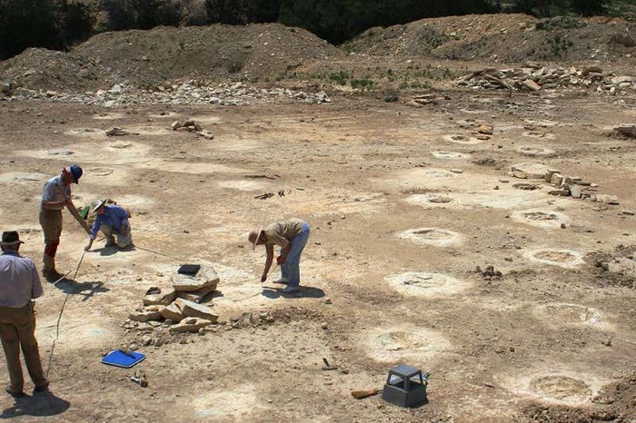 テキサス州のコーヒー・ホローで見つかった足跡化石。前足しか残されていない。