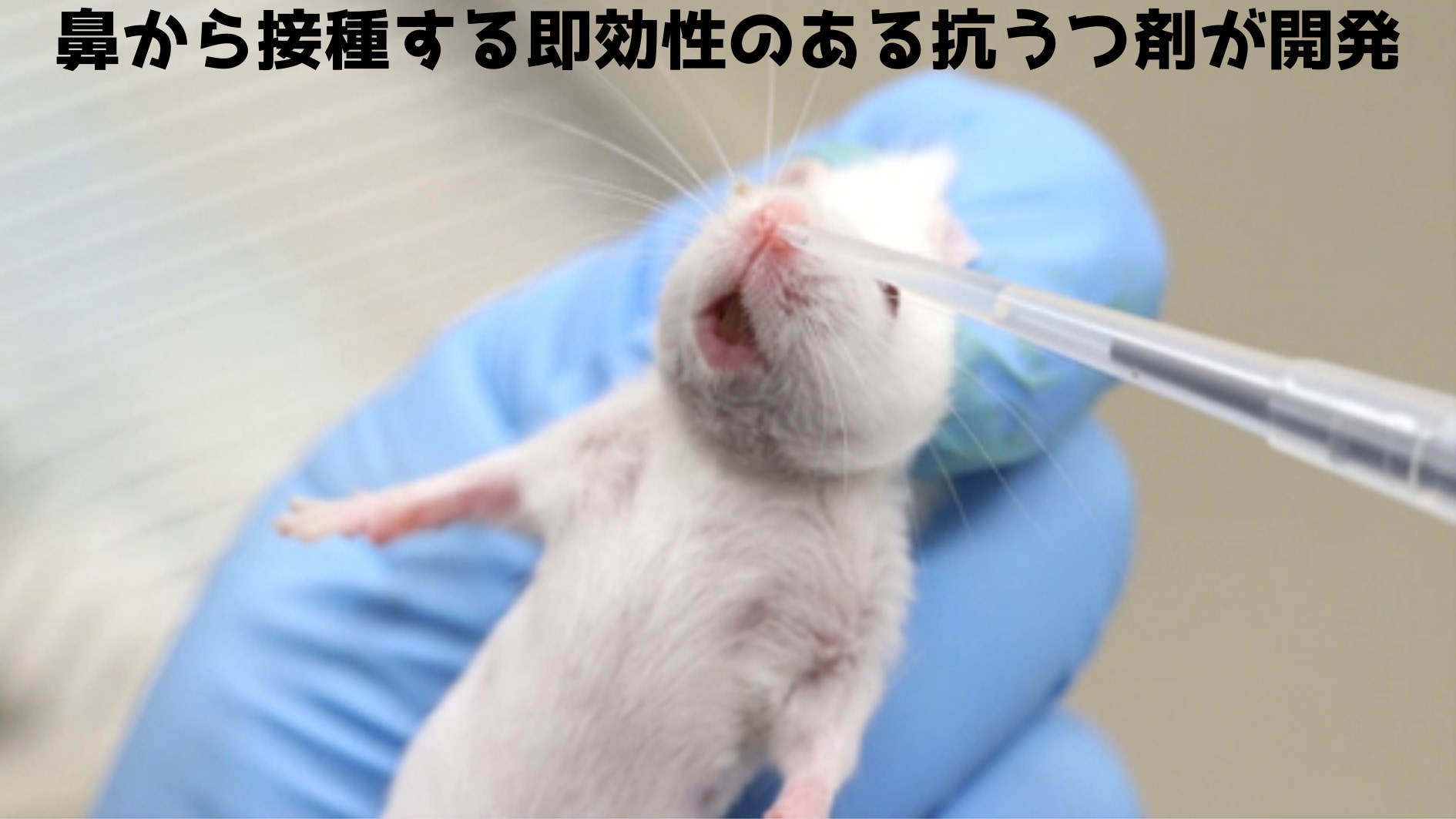 わずか20分でマウスの「うつ状態」を治す点鼻薬が開発！
