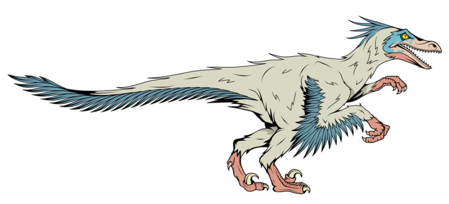肉食恐竜には「羽毛」があった？
