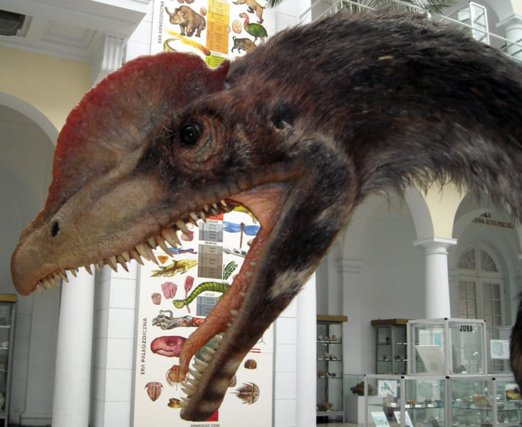 現在のディロフォサウルス像