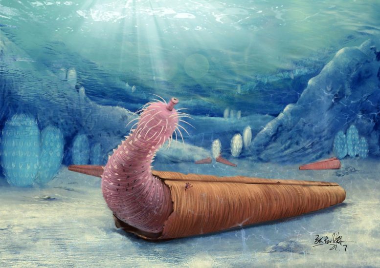 5億年前のペニスワームが「ヤドカリ風の貝殻生活」を発明していた