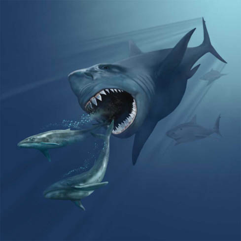 クジラを追うメガロドンの想像図