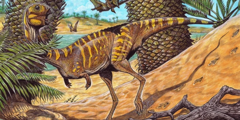 肉食なのに歯がない新種の「クチバシ恐竜」を発見
