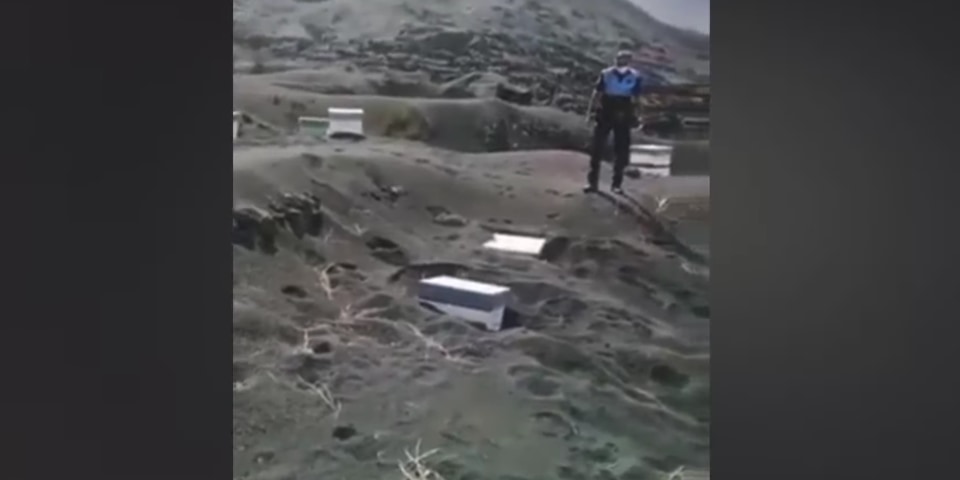 火山灰に50日間埋もれていたハチの巣箱