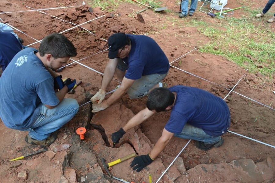 ブラジル南部での化石発掘の様子