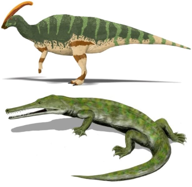 （上）パラサウロロフス, （下）チャンプソサウルス