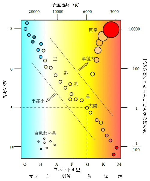温度と明るさをもとに恒星を分類するHR図。太陽は図の中央右辺りに位置するG型主系列星で、中でも自転が遅い部類になる
