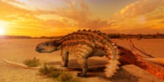 新種のアンキロサウルスを南米チリで発見