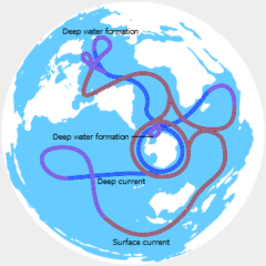 大西洋子午面循環（AMOC）