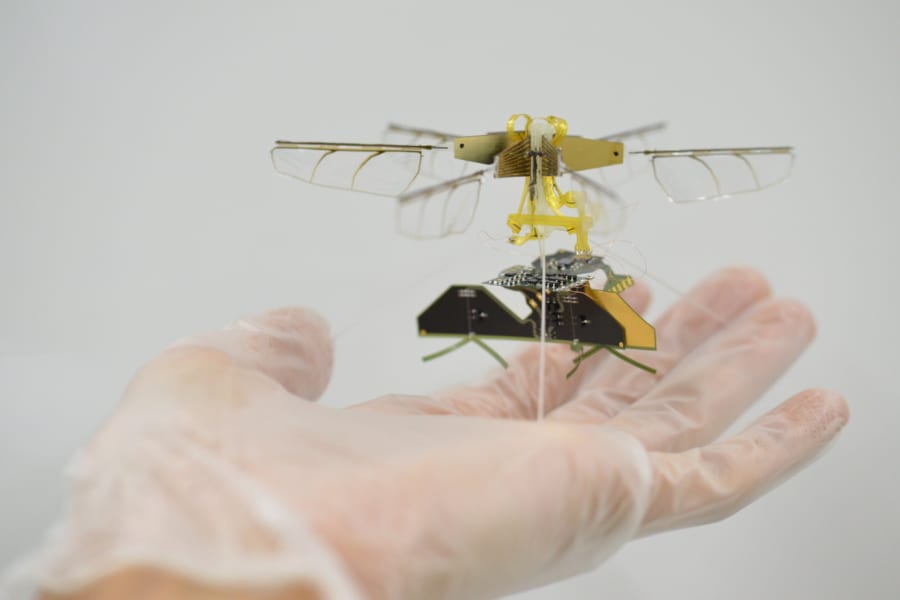 ワイヤレス給電で稼働する昆虫型ドローンを開発（豊田中央研究所）