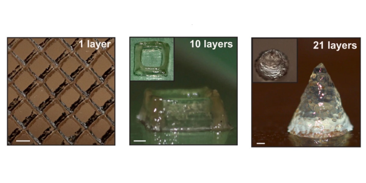 研究チームは大腸菌から開発した微生物インクで成長できる3Dプリントを実現した