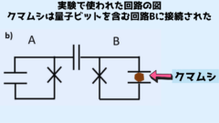 クマムシは量子ビットを含む回路Bに直流で接続され、回路Bはもう一つの量子ビットを含む回路Aと相互作用している