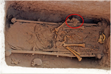 男性の遺骨が見つかった墓、赤丸が鱗鎧