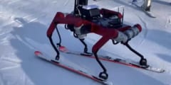 ゲレンデを滑走できるスキーロボットが誕生