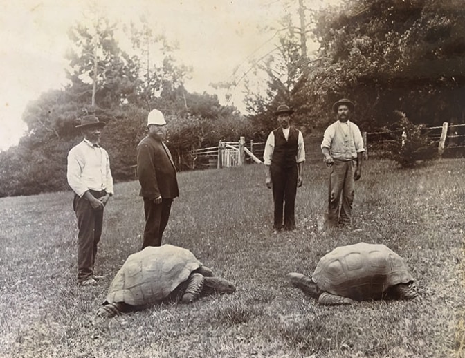 1882年に撮影された時のジョナサン（左）