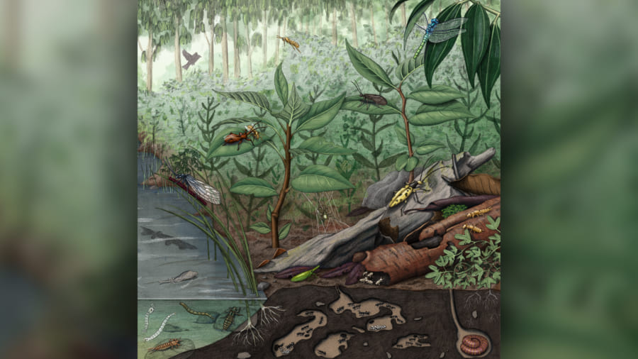 化石から復元した当時の生態系のイメージ