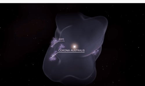 局所泡と表面の星形成領域を示した3Dアニメーション