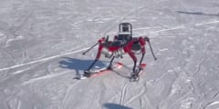新たに開発されたスキーロボット