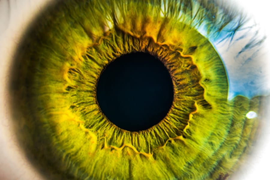 瞳を覗き込み人間の寿命を予測！「死神の目」を持つAIが開発される！