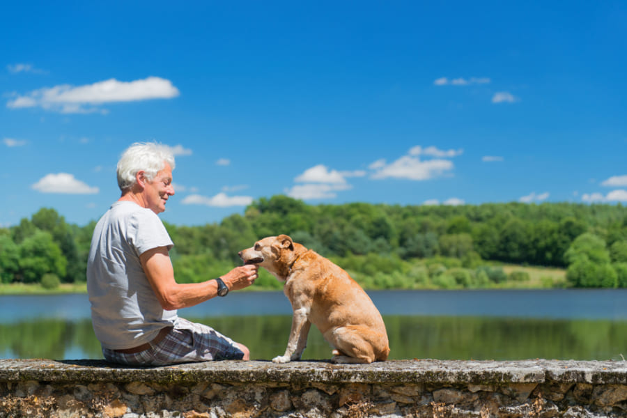 「犬と暮らす高齢者」は健康上のリスクが半減していた