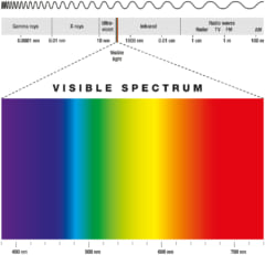 可視光線の波長と色