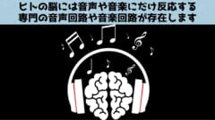 歌だけに反応する脳回路を発見！