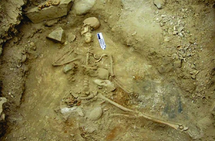 法医学鑑定が”5000年前の男性の遺骨”を「浅瀬の溺死」だったと明らかにする