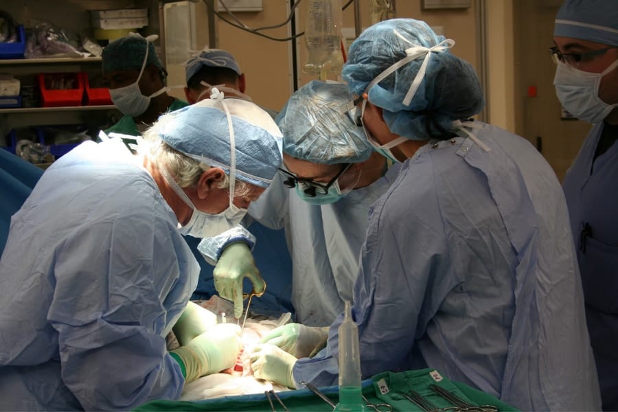世界初の「ブタの心臓移植」を受けた男性、術後2カ月で死亡　