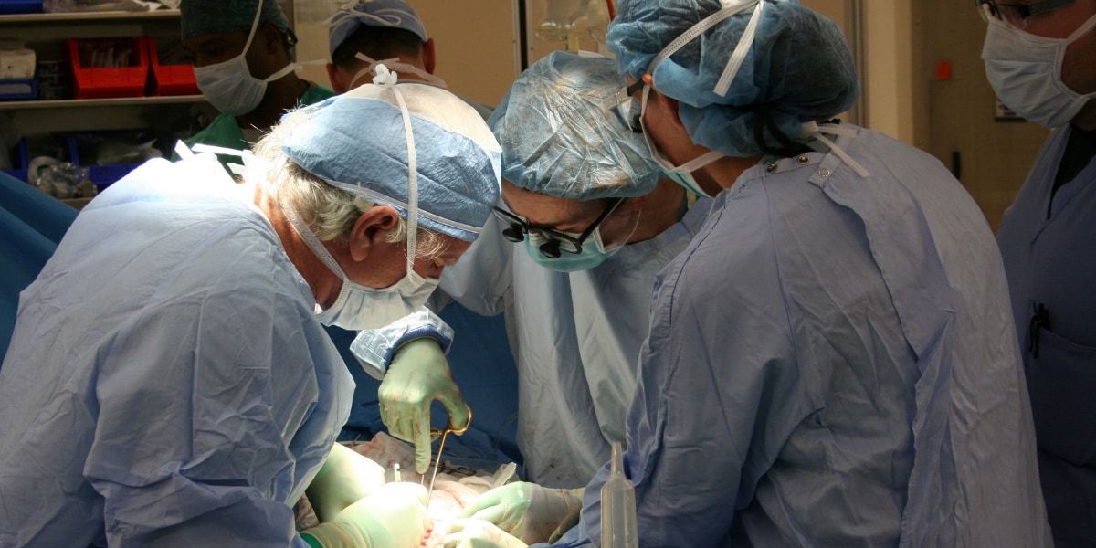 世界初のブタ心臓の移植を受けた男性が死亡