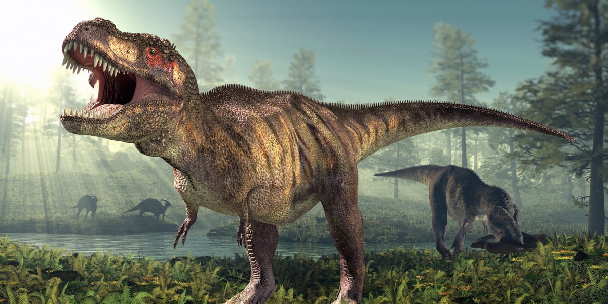 ティラノサウルスは3種に分けられる可能性が浮上