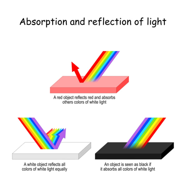 物質が特定の波長を反射することで「色」が生じる