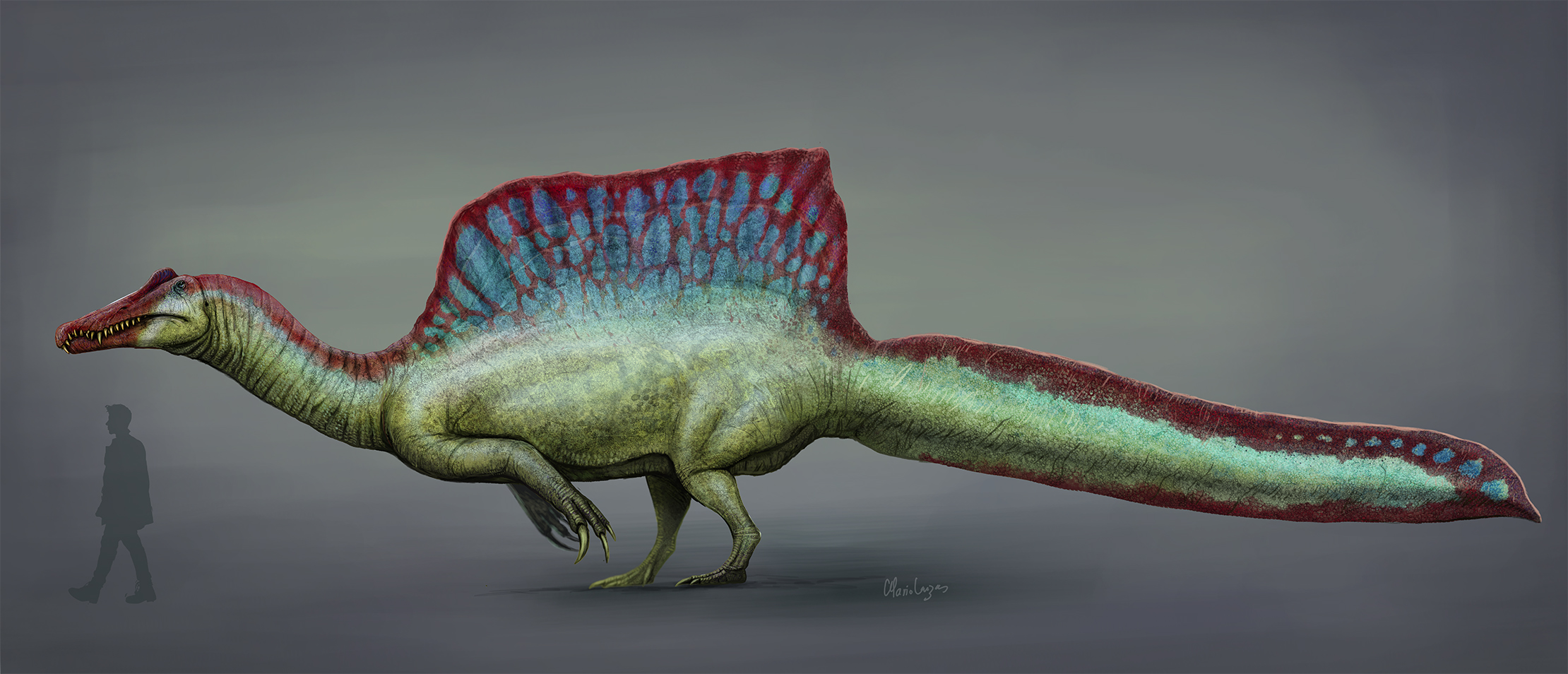 2020年時点のスピノサウルスの生体復元画