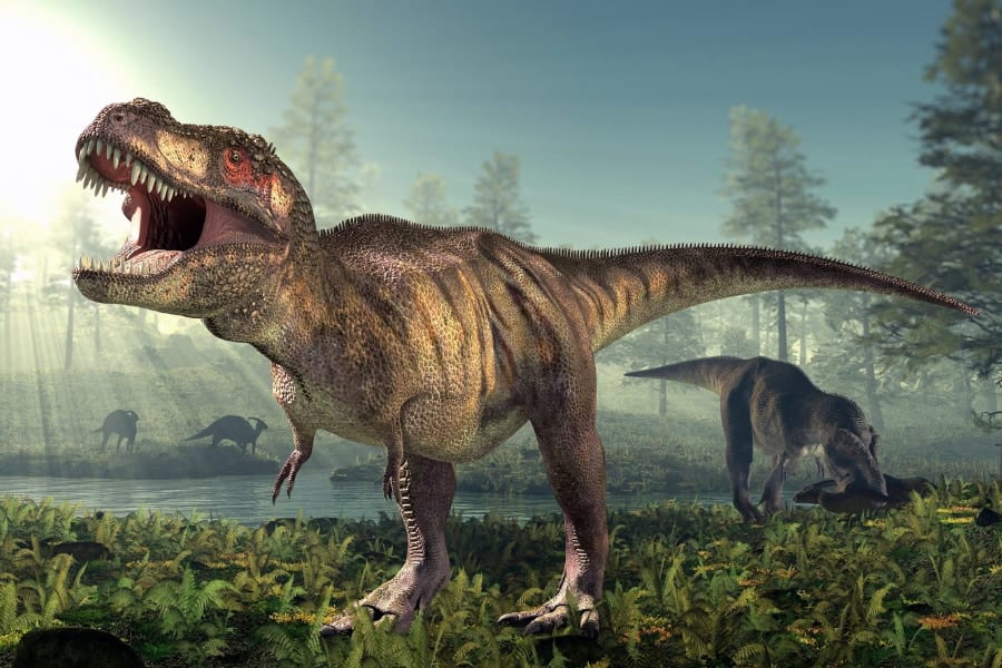 ティラノサウルスは「3種類」に分けられる可能性が浮上！