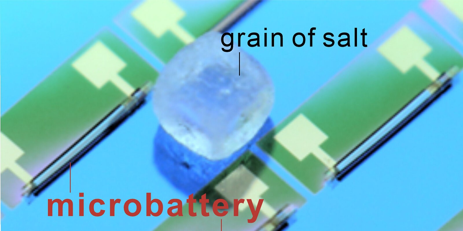 開発されたマイクロバッテリー（microbattery）と塩粒（grain of salt）
