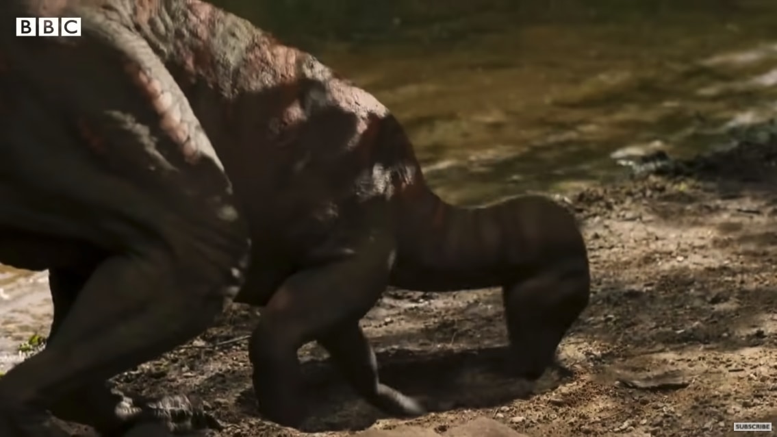 水辺で餌を探すテスケロサウルスのイメージ