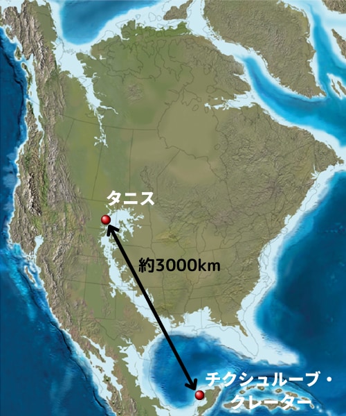 今回の発掘地タニスと隕石落下地点のチクシュルーブ・クレーターの位置関係