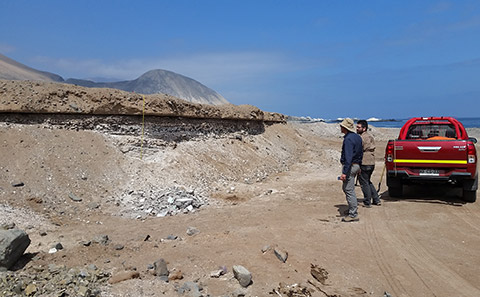 チリ北部沿岸で見つかった津波により隆起した堆積物