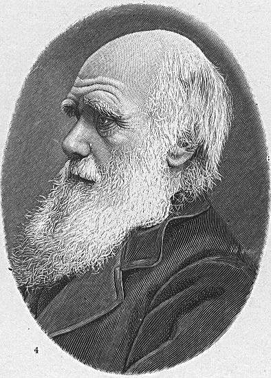 英の自然科学者チャールズ・ダーウィン（1809〜1882）