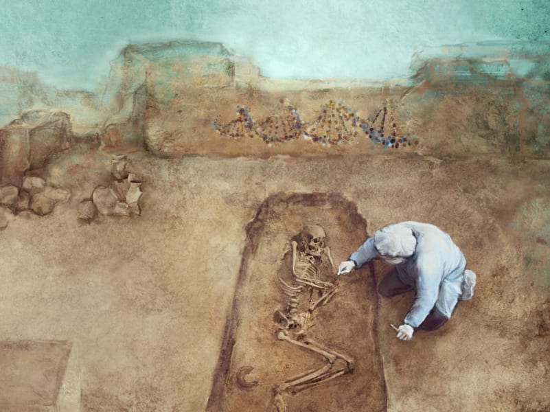 古代人の骨の調査をするイメージ画