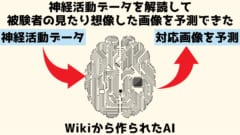 Wikipediaから錬成された人工知能は神経活動データを解読できた