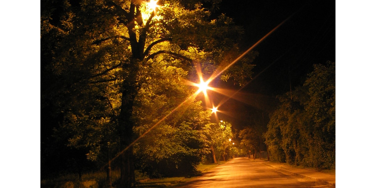 誰もいない道を真夜中に煌々と照らし続ける街灯は必要なのか？