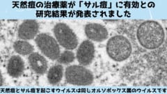 天然痘の治療薬が「サル痘」にも効果があると発表