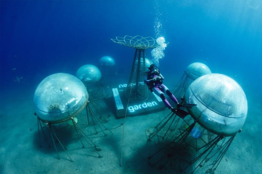 海底に設置されたドーム