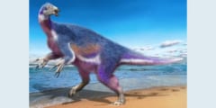 北海道から新種恐竜が誕生