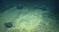 ハワイ沖の深海底で見つかった「黄色いレンガ道」