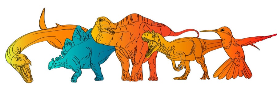 左から首長竜・ステゴサウルス・ディプロドクス・アロサウルス・ハチドリ（色は体温を示す）