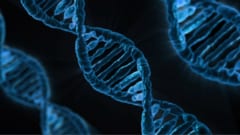 病気体験の遺伝を断ち切るには遺伝子治療が最適である