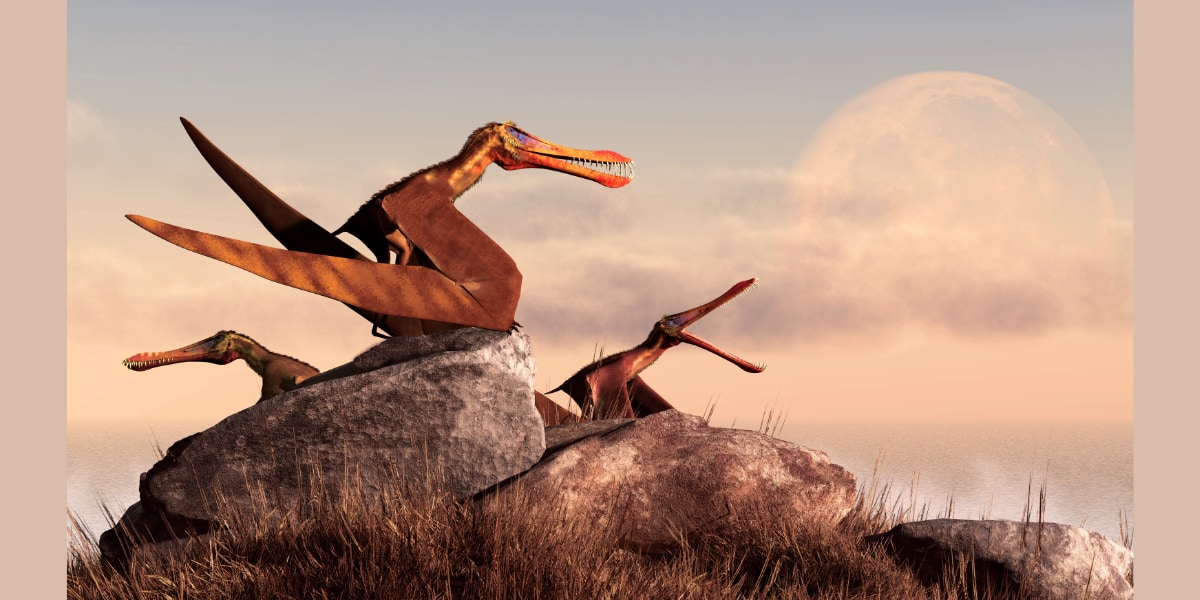 巨大翼竜はほとんど空を飛べなかった？